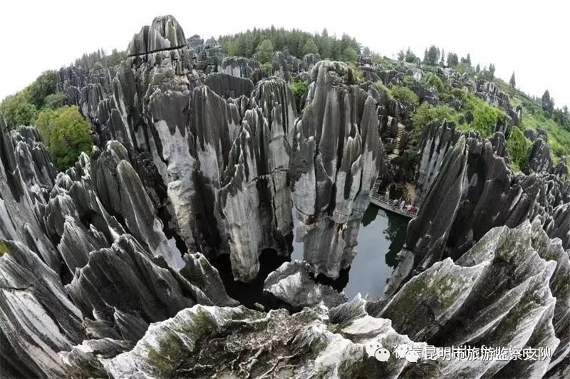昆明市旅游监察支队