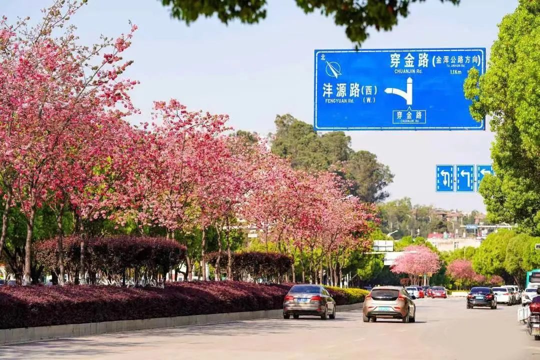 盘龙统战(微信)