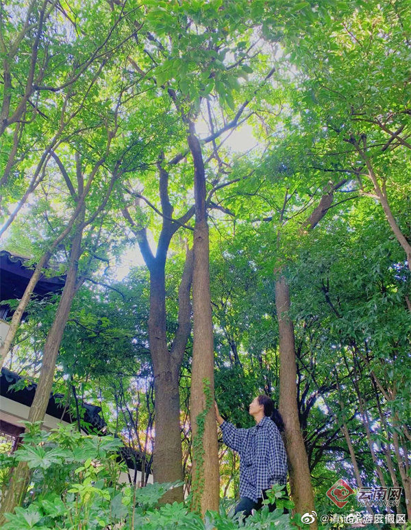 滇池旅游度假区