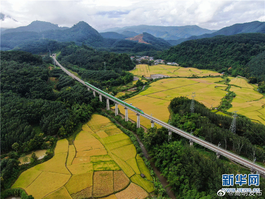 嵩明发布