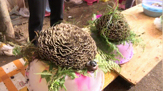 昆明信息港/cnkmxxg