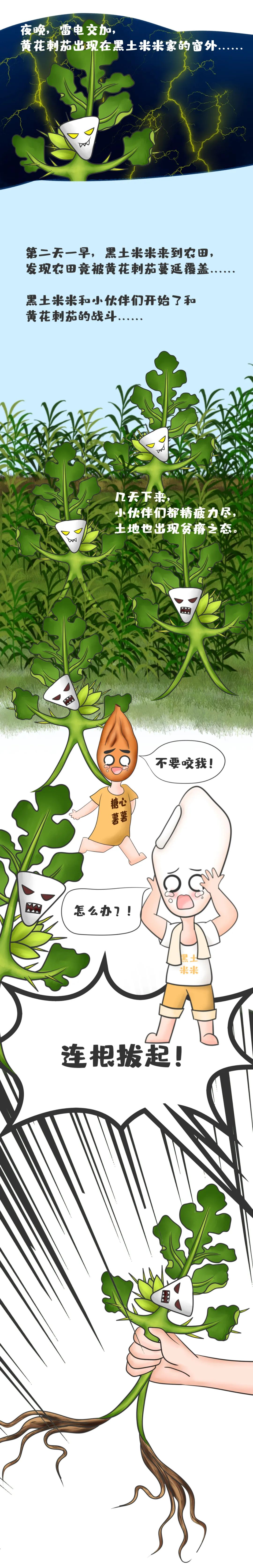 宜良检察(微信)