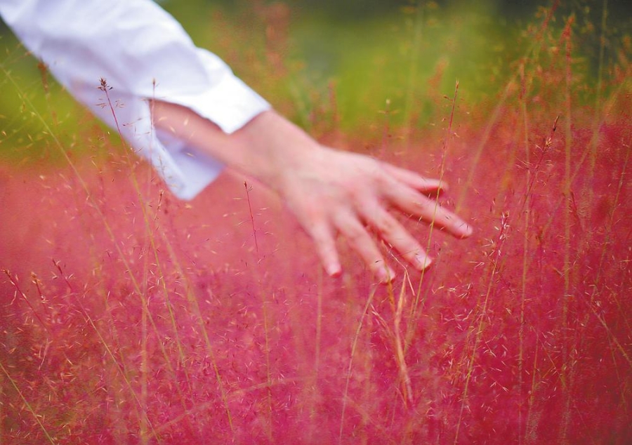 新华网云南频道