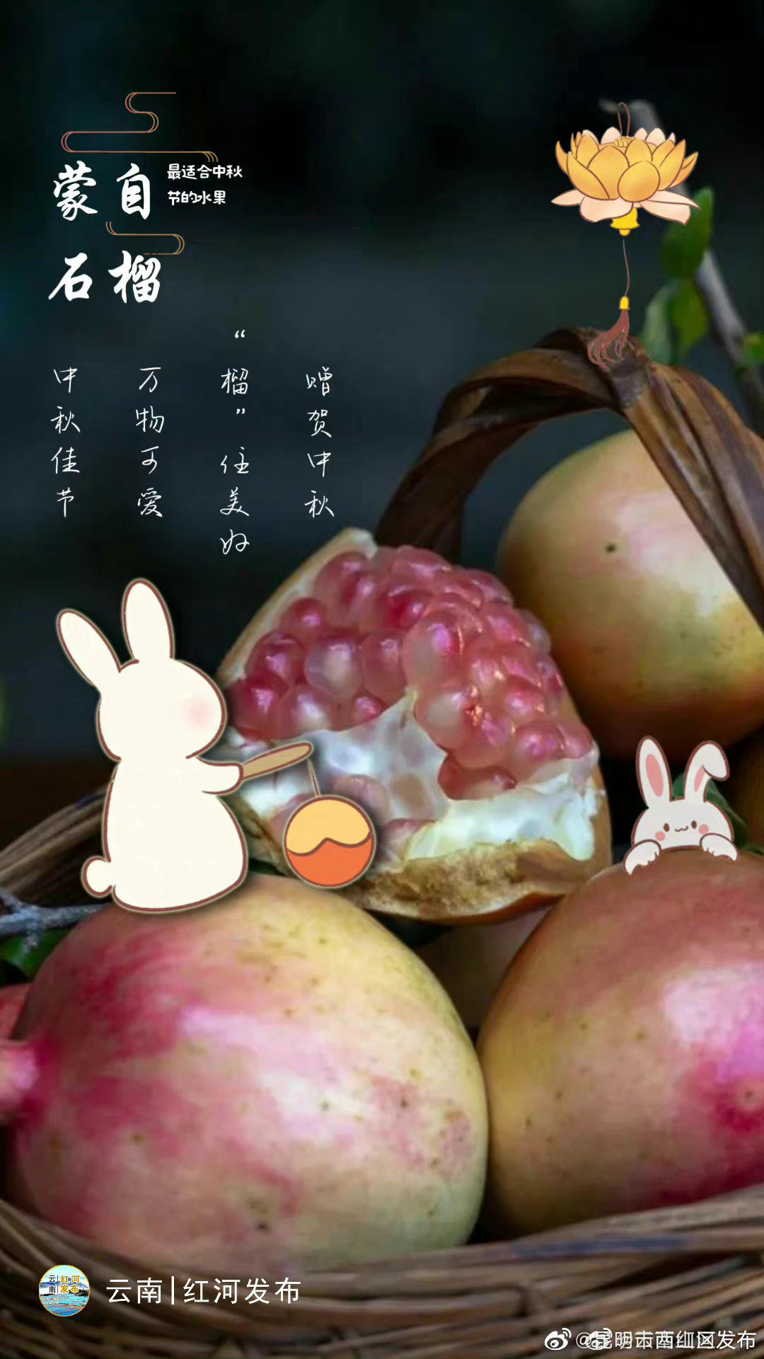 昆明市西山区发布