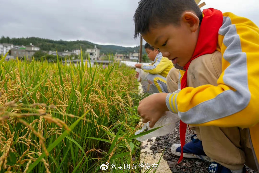 “昆明五华发布”微博