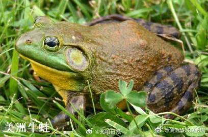 滇池旅游度假区