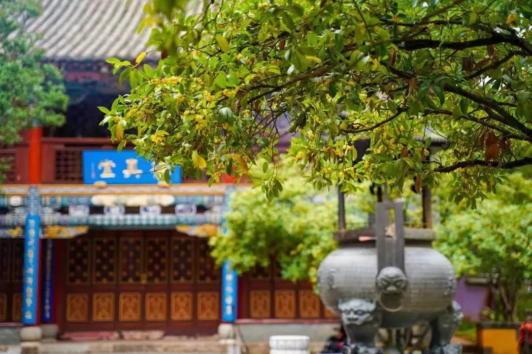 盘龙统战(微信)