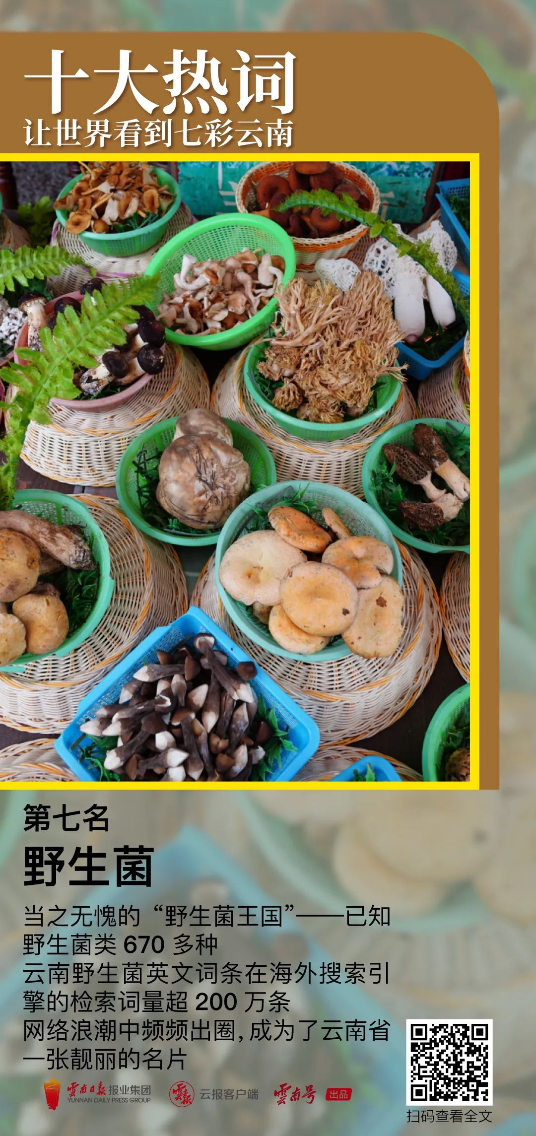 昆明公共文化云