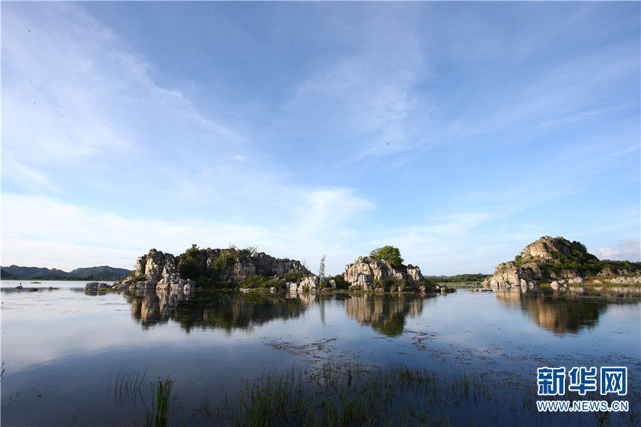 云南省文化和旅游厅