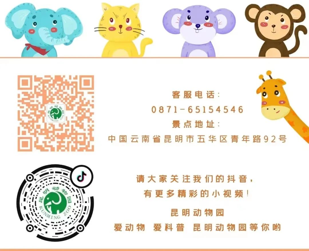 昆明动物园
