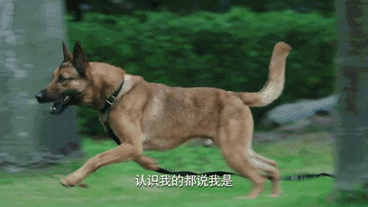918云南交通台(微信)