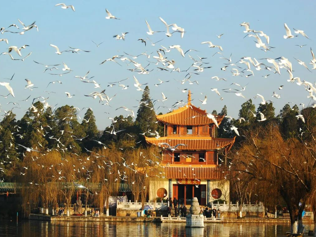 昆明文旅