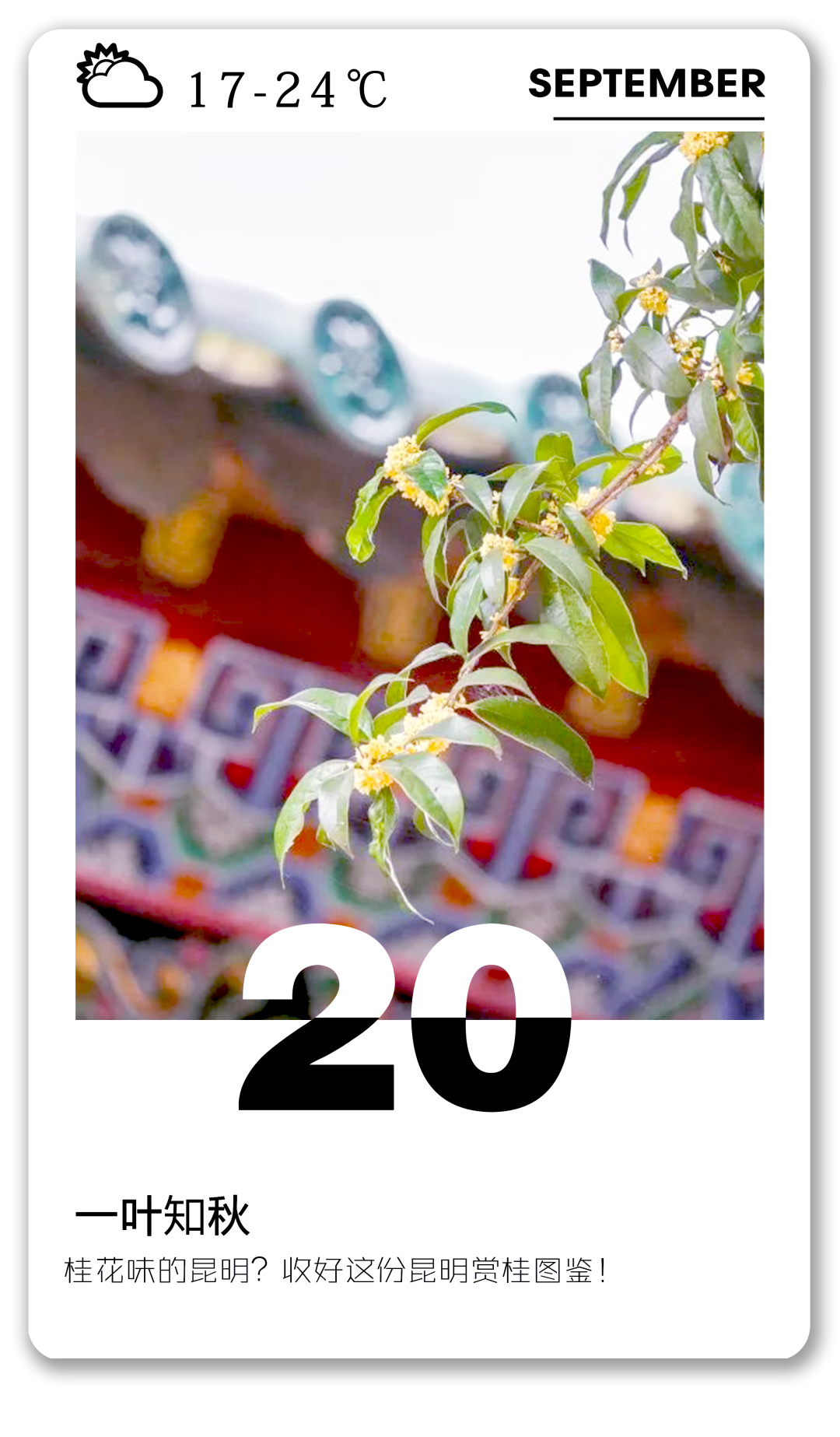 昆明文旅