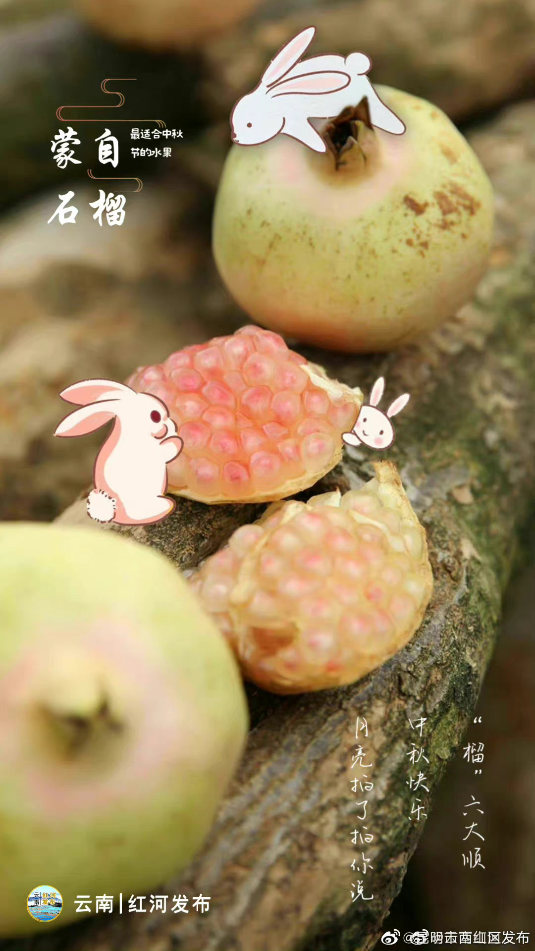 昆明市西山区发布