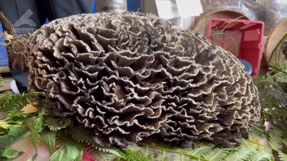 昆明信息港/cnkmxxg