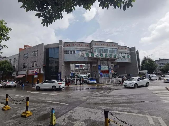 掌上春城