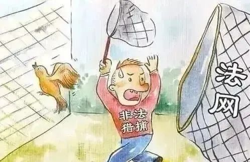 昆明生态环境