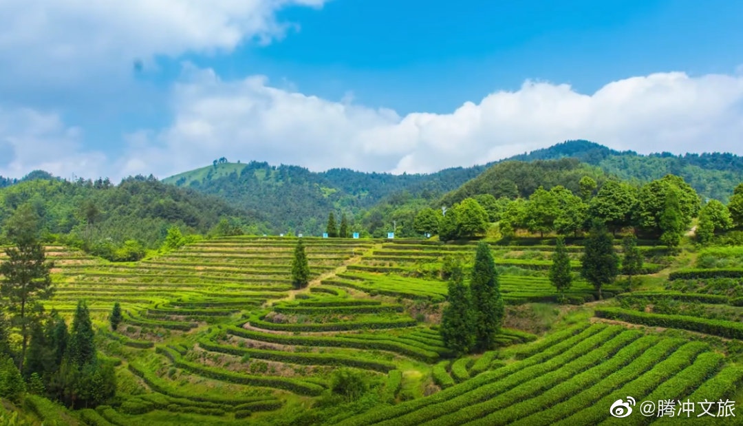 腾冲文旅微博