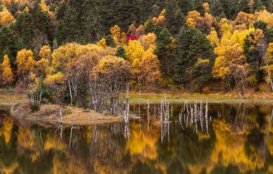 一部手机游云南