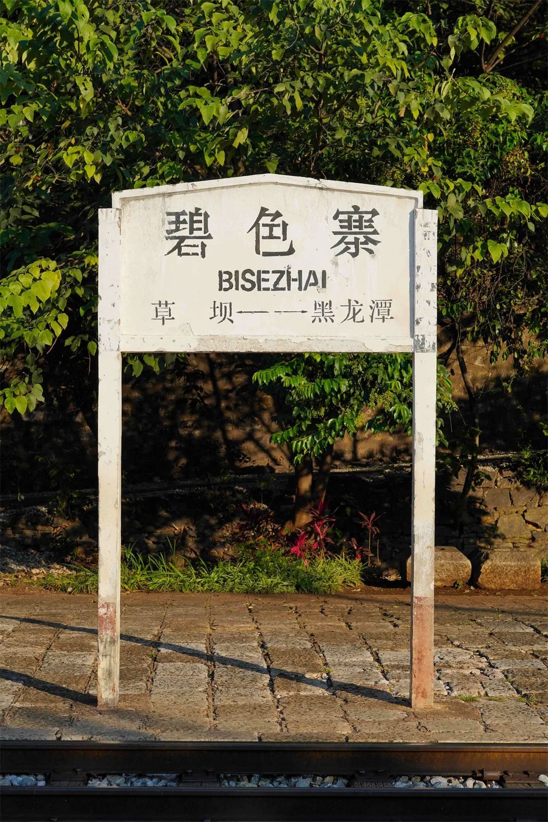 云南省文化和旅游厅