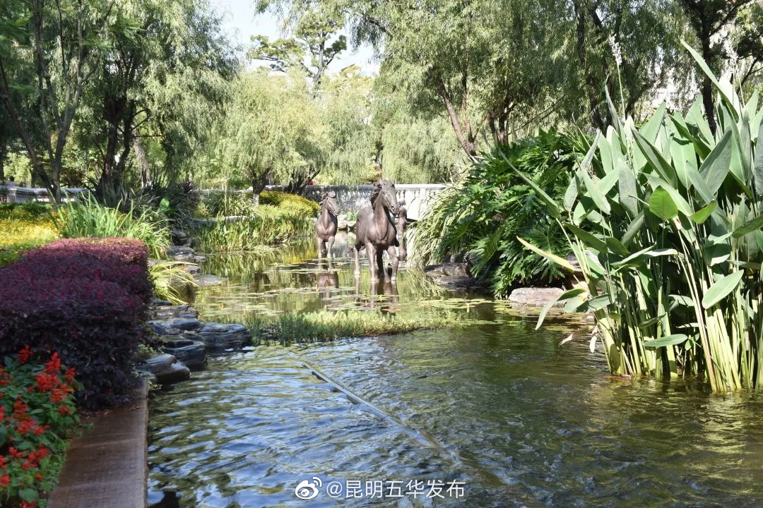 “昆明五华发布”微博