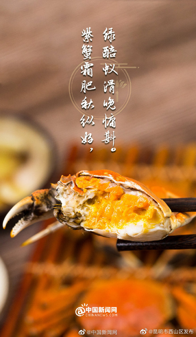 昆明市西山区发布