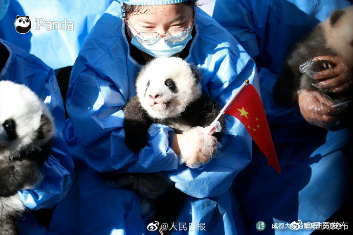 呈贡发布