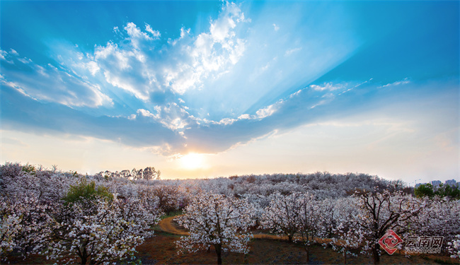 云南省文化和旅游厅