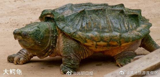 滇池旅游度假区