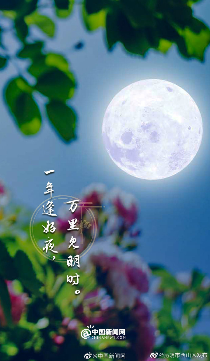 昆明市西山区发布