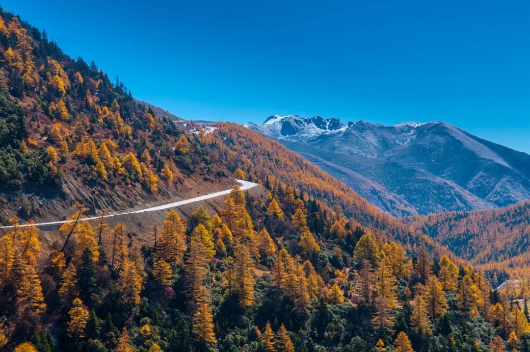 云南省文化和旅游厅