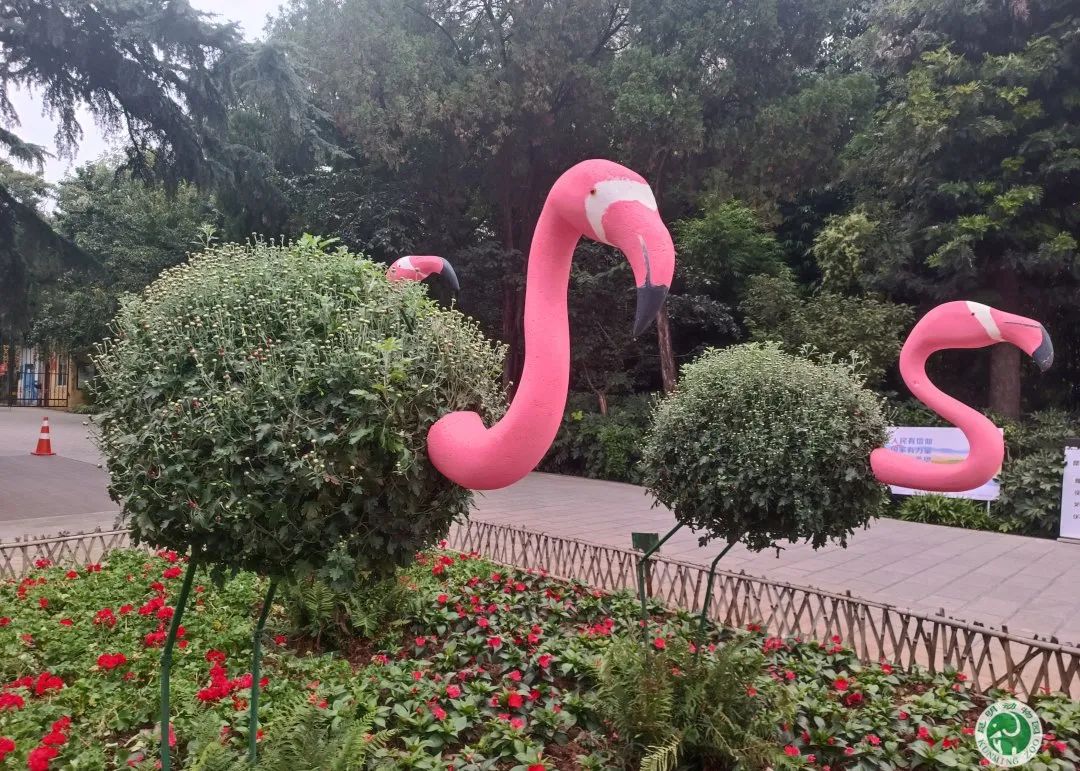 昆明动物园