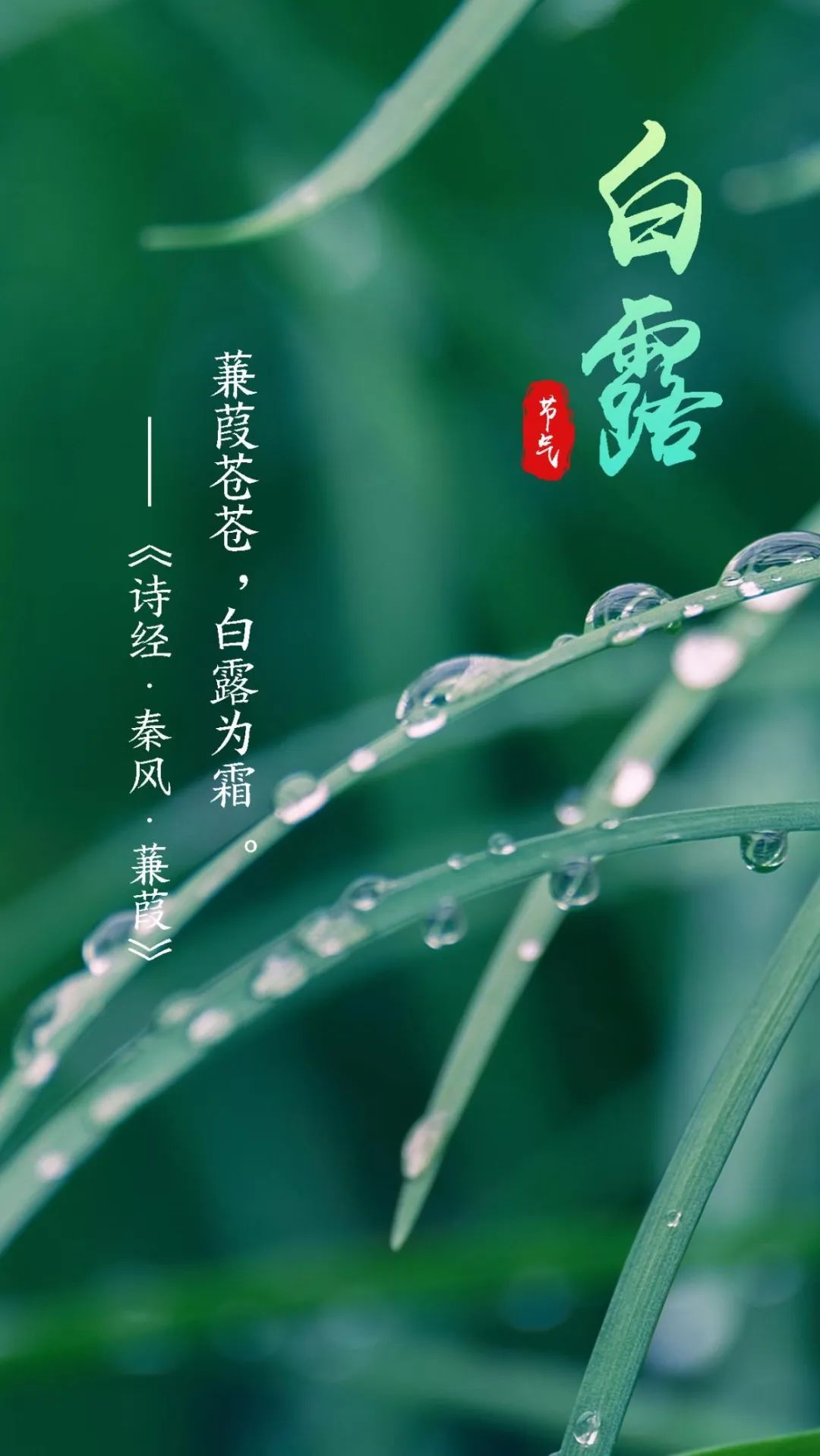 保山广播电视台