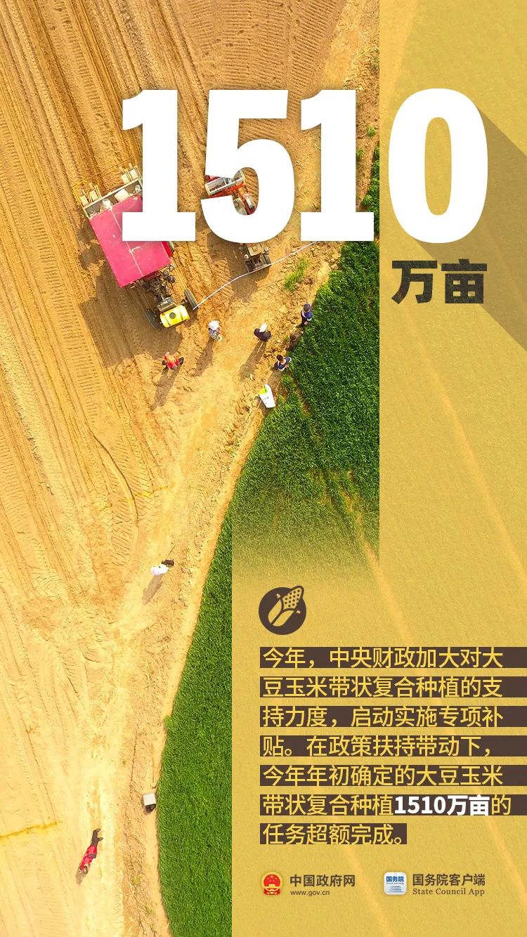 中华人民共和国中央人民政府