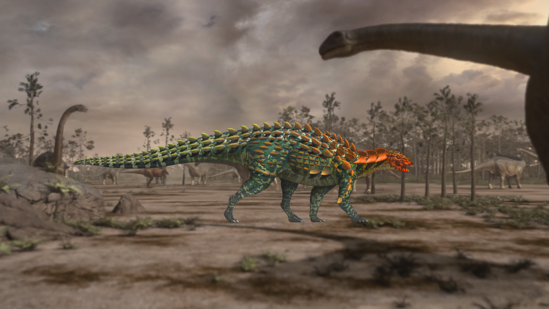 美丽云南微科普