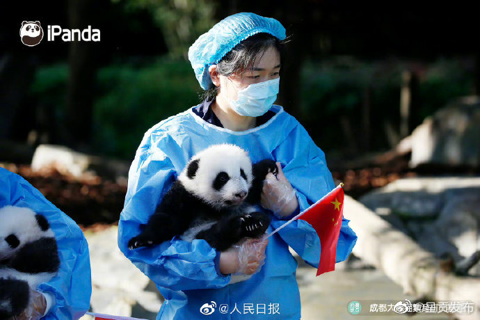 呈贡发布
