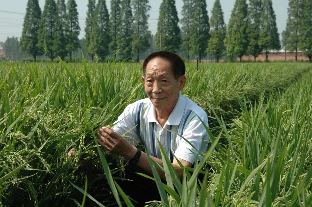 美丽云南微科普
