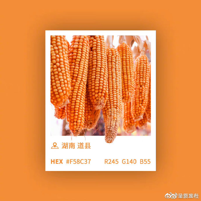 呈贡发布