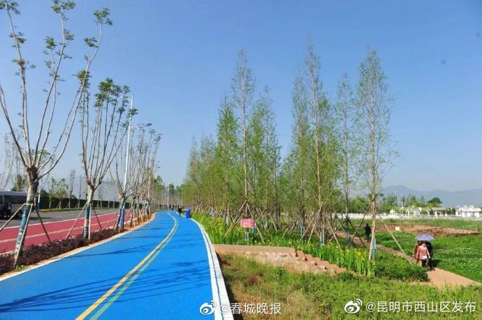 昆明市西山区发布