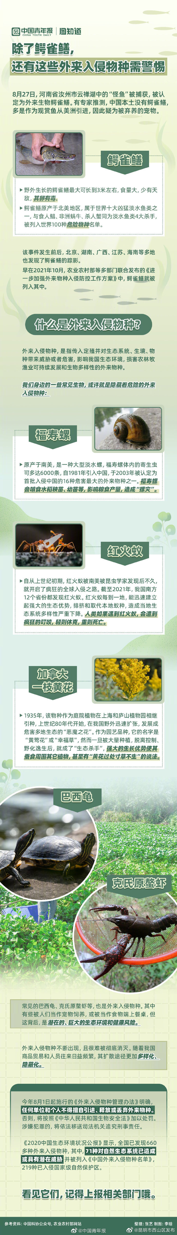 注意！这些外来入侵物种要警惕