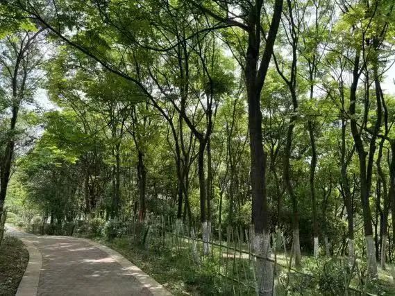悦读嵩明