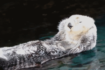 哪种卸妆产品对皮肤更友好 