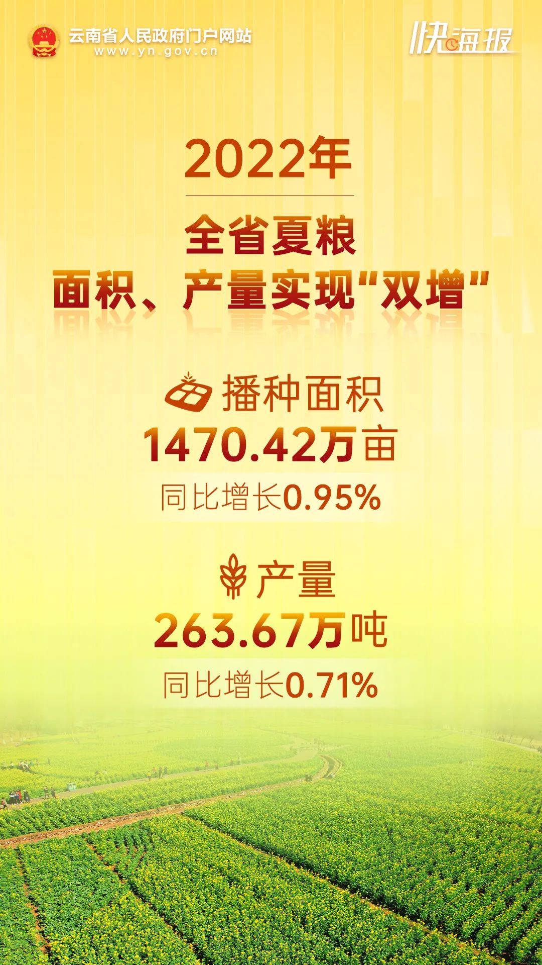 云南省人民政府网