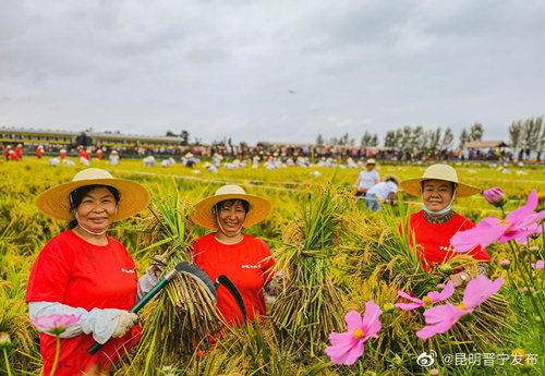 昆明晋宁发布