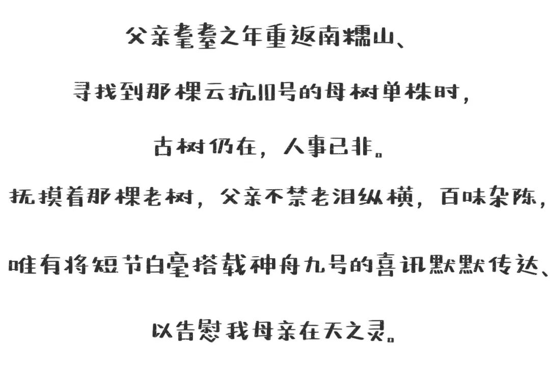 普洱日报