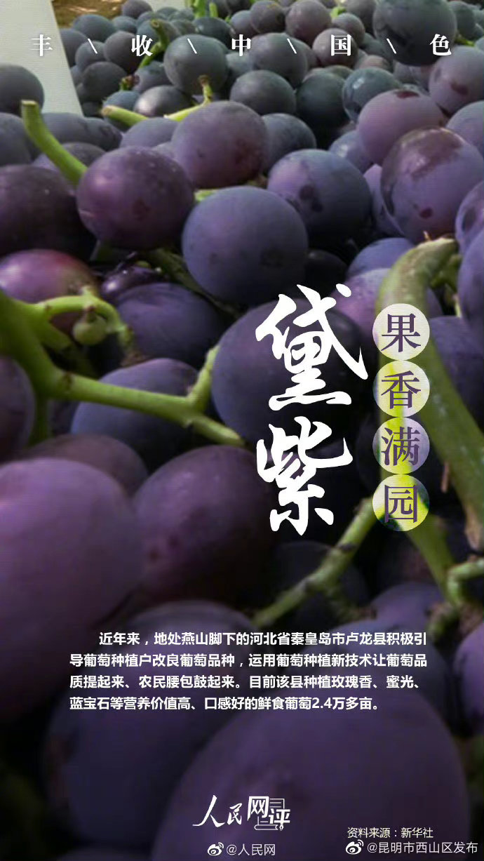 昆明市西山区发布