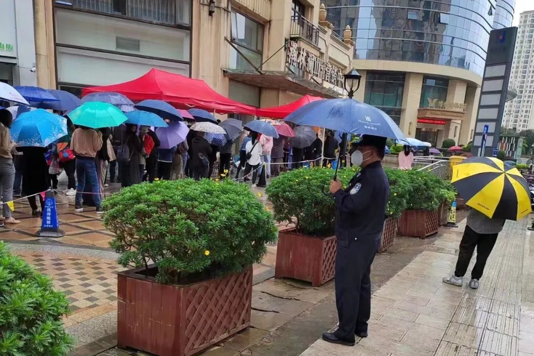微观盘龙