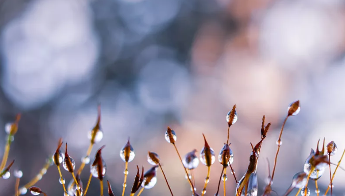 昆明公共文化云