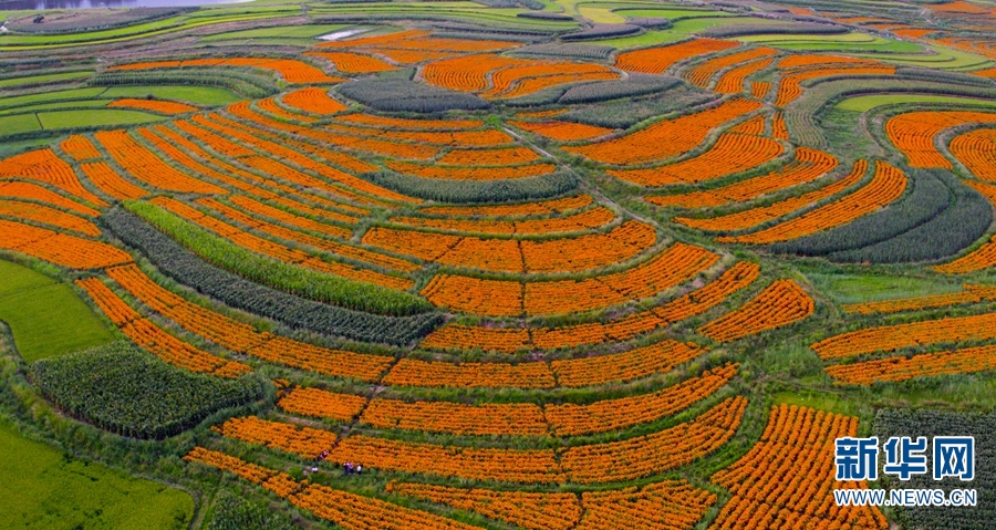 云南省文化和旅游厅