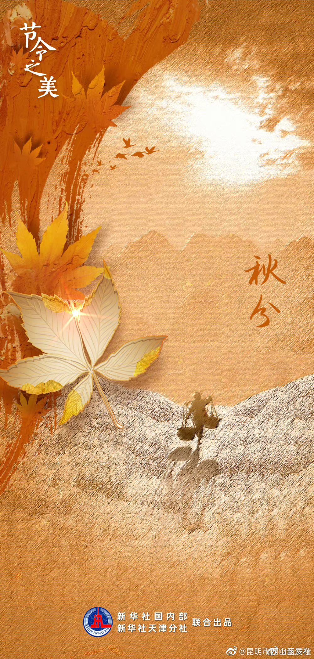 昆明市西山区发布